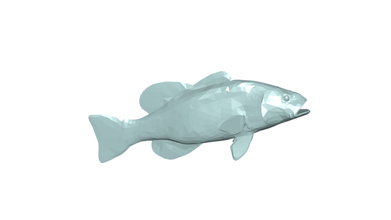 peixe alívio 3d modelo parede escultura panoo cnc animal cabeça 3d print model - Mito3D