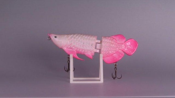 Balık tutma yalpalama madeni paralar Rozetler fishing wobbler balık for print Yazdır 3d scan taramak model yem bait eğirme spinning 3d print model - Mito3D