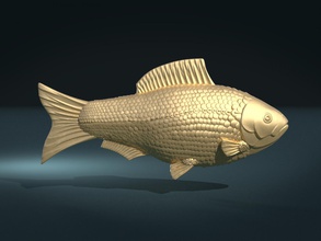 du poisson abri d'auto carassin l'échelle or de l'eau la rivière vu lac roach art 3d print model - Mito3D