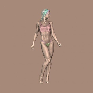 fit decimated woman anatomy fitness reference bodybuilder reference-model girl female 3d print model - Mito3D