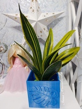 vaso fiori pazzo fiore coltivatore pentola pianta monstera foglia ibisco sansevieria gatto 3d print model - Mito3D