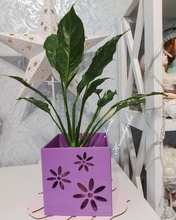 Blumentopf Wiese Blumen Pflanzer botanisch Blume drucken Natur Pflanze Dekor Haus Kamille 3d print model - Mito3D