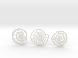foraminifera coasters posavasos 3d print model - Mito3D