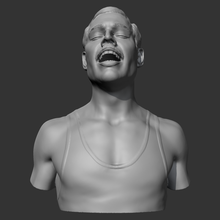 freddie mercurio 3d impresión modelo in escultura 3dexport personaje personas humano cabeza retrato busto figura hombre cantante cara estatua 3d print model - Mito3D