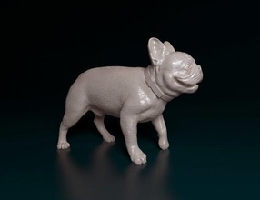 fransızca bulldog 3 3d yazdır model in figürinler 3dexport hayvan yazdırmaya hazır stl obj 3d print model - Mito3D