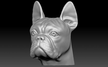 fransızca bulldog baş 3d baskı yazdır model in heykel 3dexport çukur boğa teriyer dobermann husky harika dane köpek hayvan anatomi rottweiler pitbull shih tzu labrador boksör 3d print model - Mito3D
