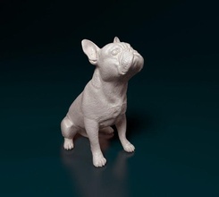Fransızca bulldog oturma hayvan köpek yazdırmaya hazır stl obj 3d print model - Mito3D