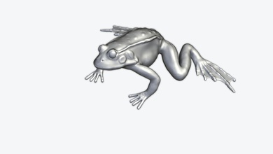 la grenouille 3dprint animal les miniatures figurines drôle nature art créature amphibiens 3d print model - Mito3D
