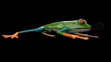 kurbağa Bedava hayvan sürüngen tropikal orman doğa yaban hayatı Amazon toksik memeli bağırmak bitki zehir tehlike hayvanlar 3d print model - Mito3D