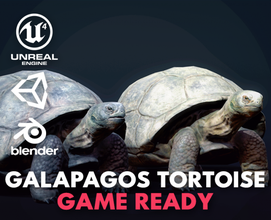 galapagos schildkröte spiel bereit 3d modell 3dexport reptil tier animiert manipuliert spielerisch spielasset 3dgameasset charakter kreaturen mixer einheit unrealengine4 tierwelt 3d print model - Mito3D
