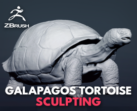 galápagos tartaruga esculpir 3d modelo in 3dexport réptil escultura presente jardim zoológico animal 3d print model - Mito3D