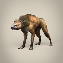 spiel bereit fantasie hyäne 3d modell tierwelt 3dexport lachen hund savanne büffel tier säugetier zoo wild poly haar pelz afrika dschungel wald textur material 3d print model - Mito3D