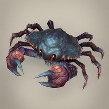 jeu prêt fantaisie crabe 3d modèle in 3dexport scorpion venimeux corail récif noyé animal insecte punaise mer plage désert créature l'eau poisson lowpoly 3d print model - Mito3D