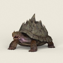gioco pronto fantasia tartaruga lucertola Drago galapagos dinosauro animale mammifero rettile tropicale conchiglia poli struttura Materiale cartone animato realistico 3d print model - Mito3D