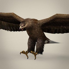 juego listo realista águila 3d modelo in pájaro 3dexport americano animal salvaje calvo pico garra halcón fantasía pluma volar cazar depredador royal ala 3d print model - Mito3D