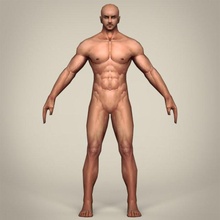 gioco pronto realistico uomo 3d modello in 3dexport maschio umano carattere muscolare corpo giovane fantasia lowpoly poli per struttura materiale 3d print model - Mito3D