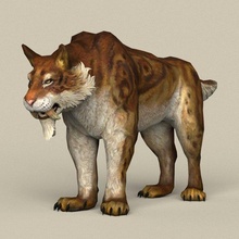game ready sabertooth 3d model in wildlife 3dexport tiger panther lion cat animal mammal cougar monster creature fantasy poly dinosaur jurassic ice age texture material 3d print model - Mito3D