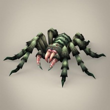 oyun hazır örümcek tarantula böcek hayvan memeli omurgasız vahşi fantezi doğa karikatür çizgi roman doku malzeme 3d print model - Mito3D