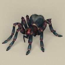 juego Listo araña insecto animal monstruo criatura viuda tarántula arácnido fantasía escuela politécnica salvaje fauna silvestre textura material veneno venenoso artrópodos 3d print model - Mito3D