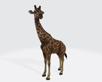 zürafa hayvan hazır Yazdır heykel yaban hayatı anatomi memeli doğa doğal hayvanat bahçesi hayvanlar kürk Bilim safari karikatür 3d savana Afrika zürafalar düşük poli boyun gerçekçi 3d print model - Mito3D