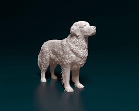 d'or retriever 2 Labrador chien animal stl obj 3d print model - Mito3D
