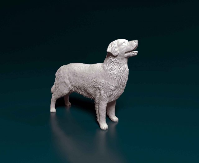 golden retriever 3 dog animal printready stl obj printable labrador 3D print model - Mito3D