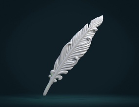 bene piuma 3d stampa modello in scultura 3dexport uccello angelo cielo anatomia aquila stampabile cigno piccione penna 3d print model - Mito3D