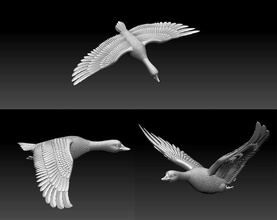 oie 3d impression modèle in animaux 3dexport canard dinde oiseau oiseaux imprimante ferme village plumes ailes sculpture 3d print model - Mito3D