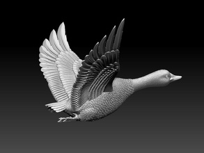 Oca anatra tacchino uccello uccelli stampante azienda agricola villaggio piume Ali scultura 3d print model - Mito3D