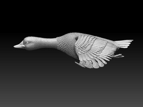 ganso Pato pavo pájaro aves impresora granja pueblo plumas alas escultura 3d print model - Mito3D