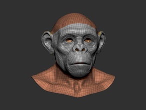 gorilla testa 3d modello in 3dexport 3d print model - Mito3D
