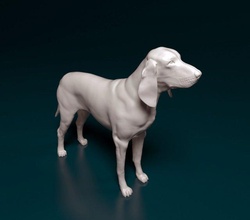 grand gascon saintogeois dog animal printready stl obj saint 3d print model - Mito3D