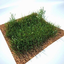 grass kit v2 cinema 4d vray -- free 3d model in environment 3dexport architecture foliage flowers archviz exterior plants 3d print model - Mito3D