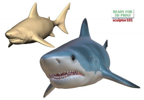 Gitter Weiß Hai 3d Bildhauerei druckbar Modell Tiere Kreatur Tier Ozean Fisch Kiefer Natur Wasser wild Skulpturen großartig weißer 3d print model - Mito3D