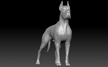 großartig däne hund 3d drucken modell skulptur 3dexport tier anatomie französisch bulldogge rottweiler pitbull shih tzu labrador mops dackel chihuahua stock corse deutsch berühmt 3d print model - Mito3D
