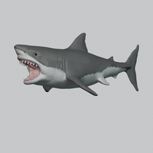ótimo branco Tubarão animal predador peixe vida marinha oceano ataque mandíbula 3d print model - Mito3D