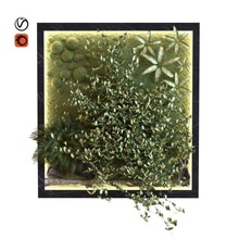 verde pared conjunto 044 planta maceta naturaleza ajuste 3d print model - Mito3D