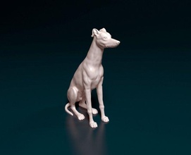 windhund sitzung 3d drucken modell figuren 3dexport grau hund tier gedruckt stl obj whippet 3d print model - Mito3D