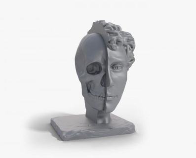 metade cabeça crânio fracasso escultura mármore david half head skull prima esculpir imprimível estátua estatueta miniatura personagem história 3d print model - Mito3D