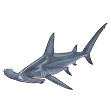 hammerhead shark 3d model in 3dexport whale dolphin predator fish animal mammal aquatic lowpoly sea ocean game fantasy monster creature realistic pbr texture material 3d print model - Mito3D