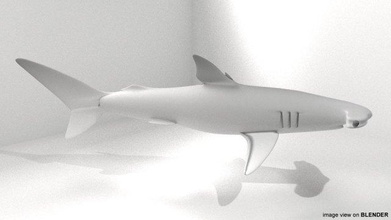 marteau requin 3d modèle in 3dexport mer aquatique poisson palmes aplatir océan nager forme 3d print model - Mito3D