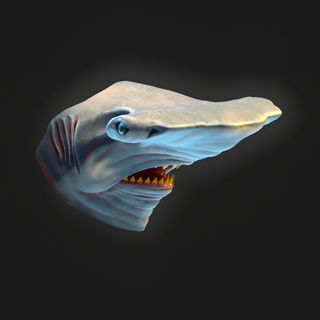 çekiç başlı Köpekbalığı maske hayvanlar balık kostüm cadılar bayramı canavar cosplayer Toplamak fauna tehlikeli okyanus deniz nehir Su su tarih öncesi doğa Sanat 3d print model - Mito3D