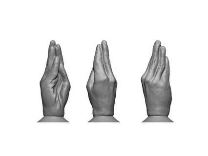 hand  anatomy hand print  3d print model - Mito3D