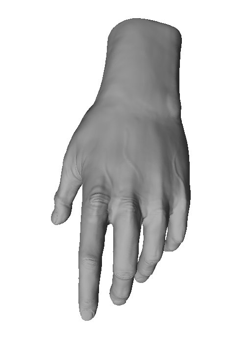 mão de impressão zbrush humanos do sexo masculino anatomia o personagem personagens pessoas stl imprimir printable a arte esculturas 3D print model - Mito3D
