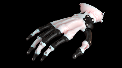 hand prosthesis current anatomical model 3d print in 3dexport arm tensegrity 3d print model - Mito3D