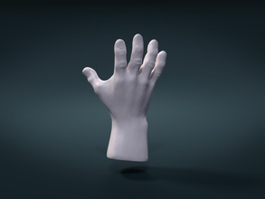 hand palm arm anatomy man human art part limb 3d print model - Mito3D