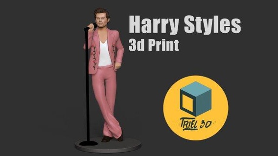 Harry Stile Kiwi Pose Sänger Künstler berühmt Berühmtheit 3d print model - Mito3D
