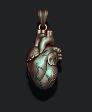 pingente de coração anatomia aorta coronária cardíaca a cruz seção anterior muscular órgão sangue pulmonar karda cor tricúspide prata ouro jóias humanos 3d print model - Mito3D