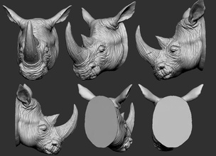 hino cabeça 3d impressão modelo in animais 3dexport chifre esculturas arte terra taxidermia zbrush safári jardim zoológico firme rocha natureza mamífero áfrica africano animal rinoceronte 3d print model - Mito3D