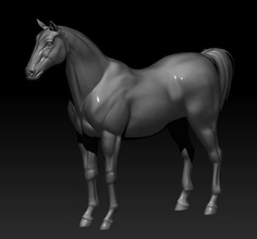 cavalo modelo 3d impressão in 3dexport natureza animal mamífero zbrush max obj escultura estátua alto poli highpoly 3d print model - Mito3D